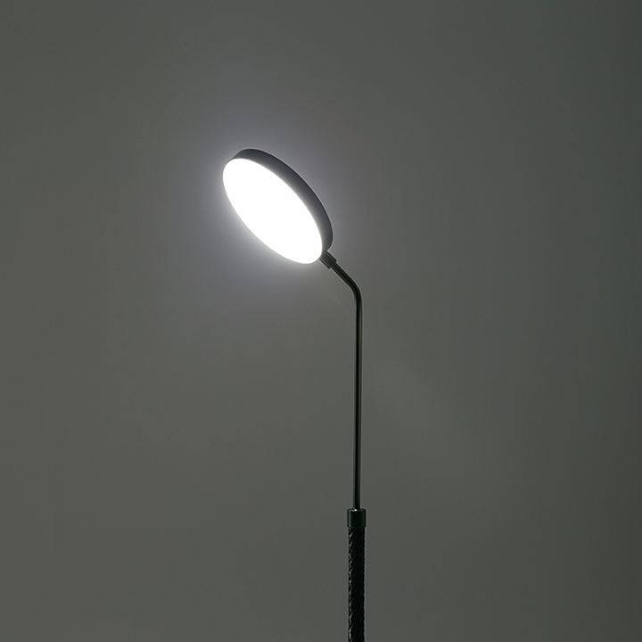 Spoon Wall Lamp by Penta Light Lamps
